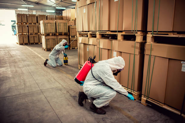 Wasp Removal Services in Columbus, KS