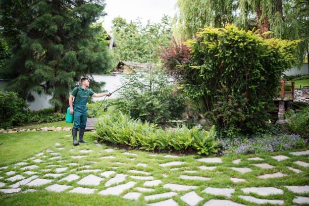 Best Wasp Removal Services  in Columbus, KS