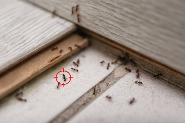 Best Exterminator Services  in Columbus, KS
