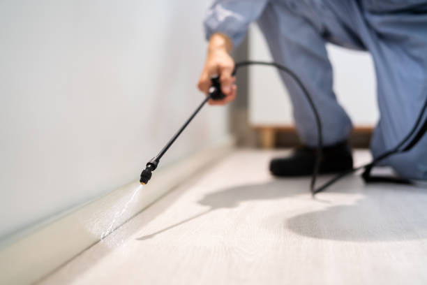 Best Pest Control Treatment  in Columbus, KS
