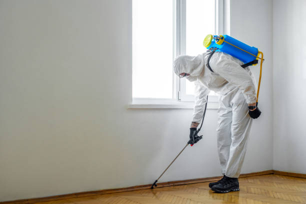 Best Affordable Pest Control Services  in Columbus, KS